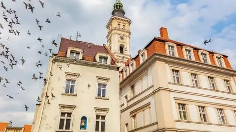 To będzie jedno z nielicznych takich miejsc w Polsce. 40 mln od rządu